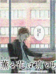 小卖部原型店 老巷店面机位图